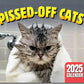 🐱 Save 50%! 😹 Funny Cats Calendar – Hilarious & wall-ready ✨