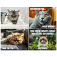 🐱 Save 50%! 😹 Funny Cats Calendar – Hilarious & wall-ready ✨