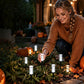 💡 ☀️ Solar Pathway Stake Light – Auto On/Off & Weatherproof 🌿