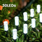 💡 ☀️ Solar Pathway Stake Light – Auto On/Off & Weatherproof 🌿