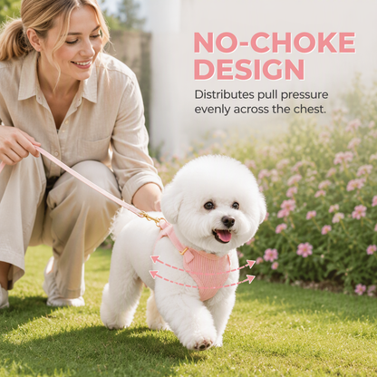 Vest Style Dog Harness and Leash Set for Small and Medium Dogs