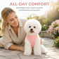 Vest Style Dog Harness and Leash Set for Small and Medium Dogs