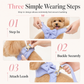 Vest Style Dog Harness and Leash Set for Small and Medium Dogs