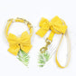 Vest Style Dog Harness and Leash Set for Small and Medium Dogs