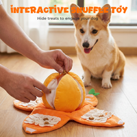 Hide & Seek Orange Plush Dog Toy
