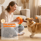 Hide & Seek Orange Plush Dog Toy