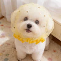 Breathable Anti-Scavenge Muzzle
