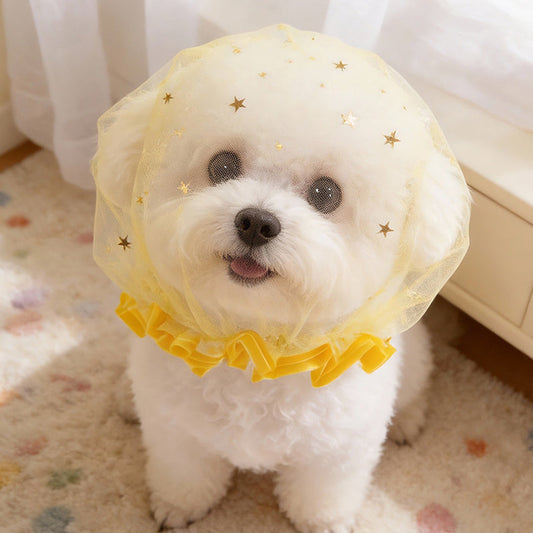 Breathable Anti-Scavenge Muzzle