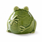 Ceramic Sea Turtle Starfish and Frog Aquarium Ornaments Marine Life Fish Tank for Micro Landscape