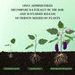 🎅🔥Hot Sale $12.99🎄🎉Home Gardening Universal Slow-Release Tablet Organic Fertilizer (22 PCS)（50% OFF）