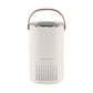🎊Christmas Pre-sale - 60% Off🎊 - Negative Ion Air Purifier